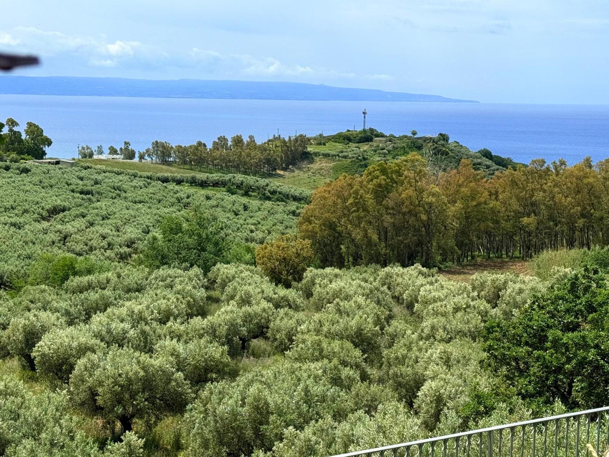 Casale Calabria Bed & Breakfast Gizzeria Ngoại thất bức ảnh